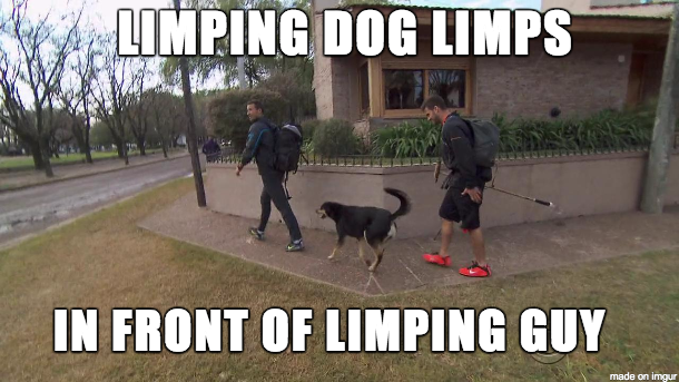 limpingdog