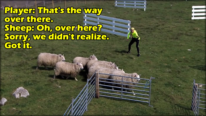 sheepdirections